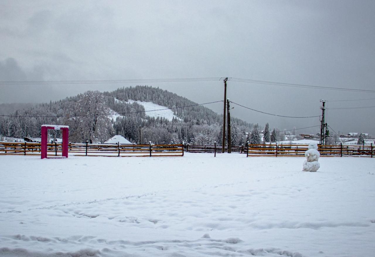 Chalet Delut Botus Esterno foto